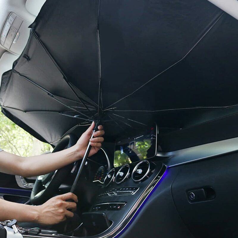 Car Umbrella 1