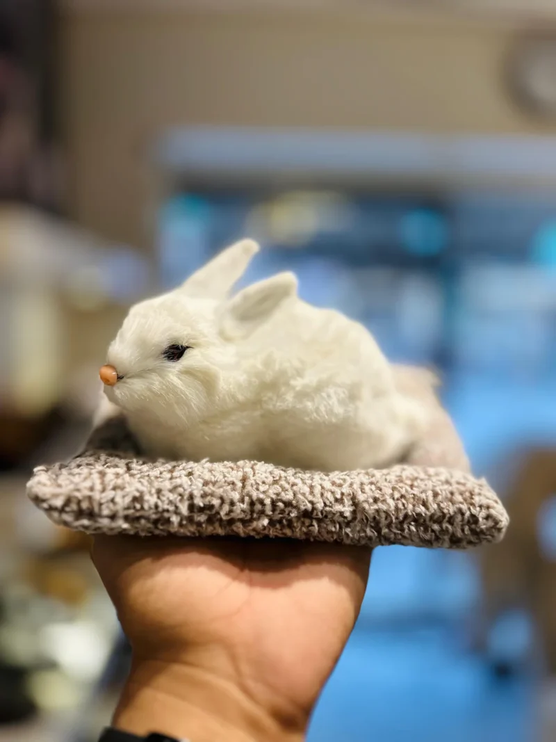 Adorable Plush Rabbet Dashboard Ornaments